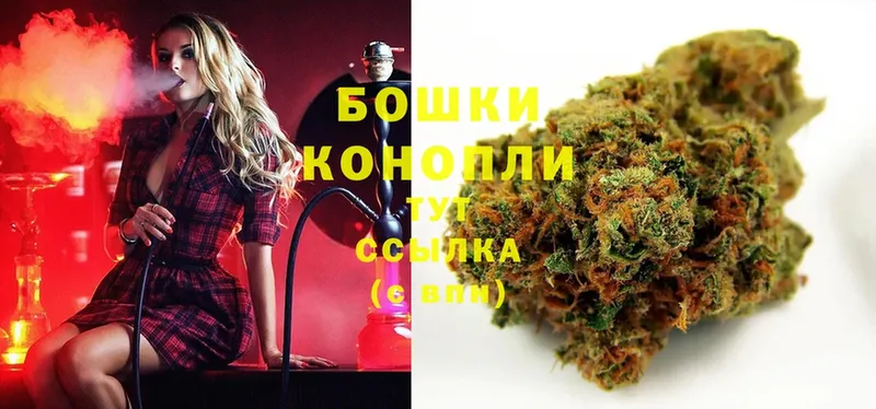 Каннабис OG Kush  Долинск 